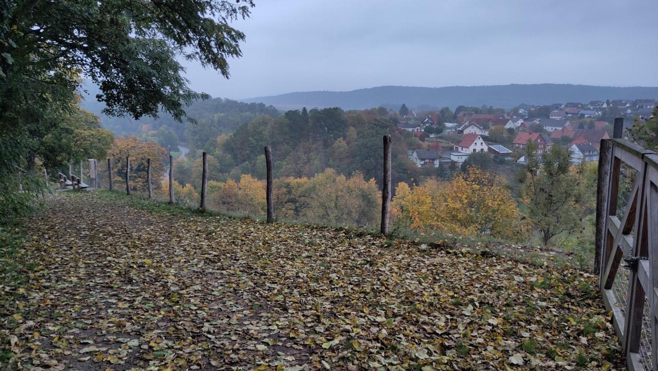 Ein mit Herbstlaub bedeckter Weg führt zu einer Wohngegend mit Häusern und Bäumen.