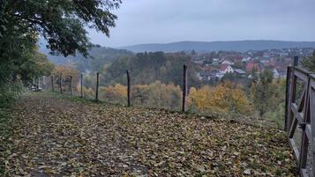 Un sentier recouvert de feuilles mortes qui mène à un quartier résidentiel avec des maisons et des arbres.