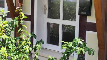 A house with a white door, a window with a curtain, and a small garden area with green plants.