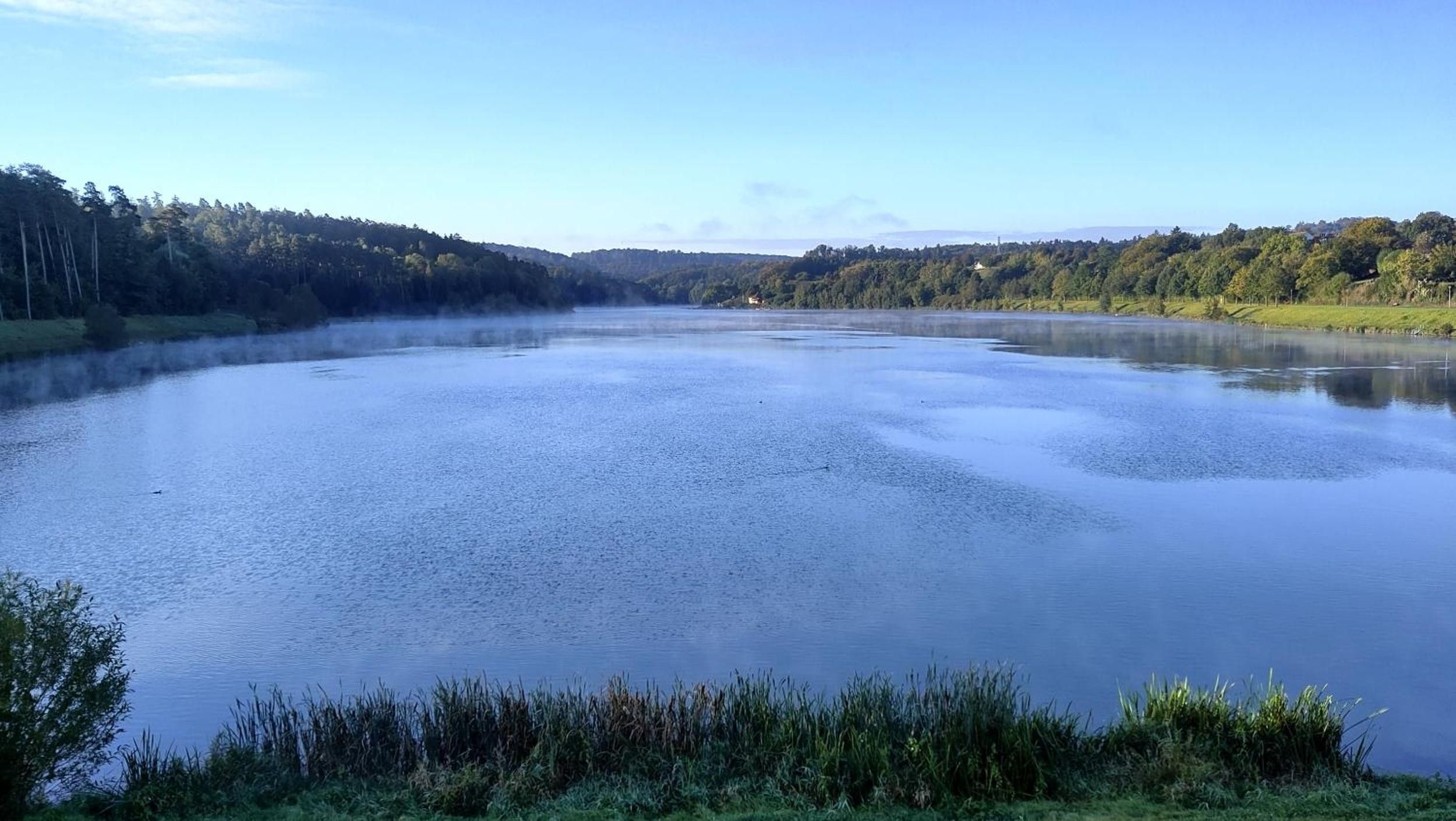 A calm lake with a forested shoreline and a clear sky.