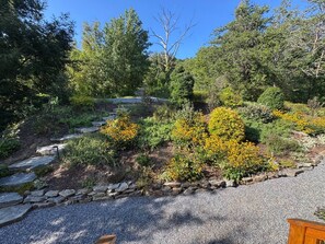Ein Garten mit Kiesweg, verschiedenen Sträuchern und Bäumen.