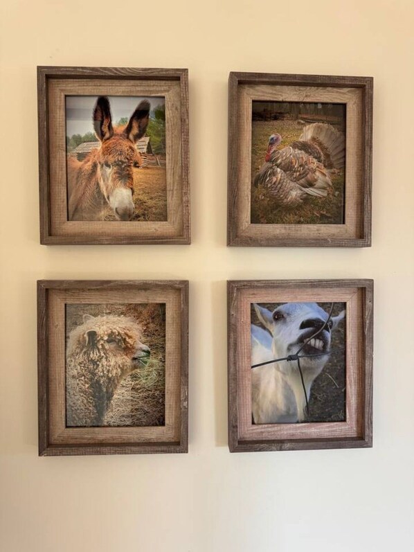 Vier gerahmte Tierfotos an einer Wand.