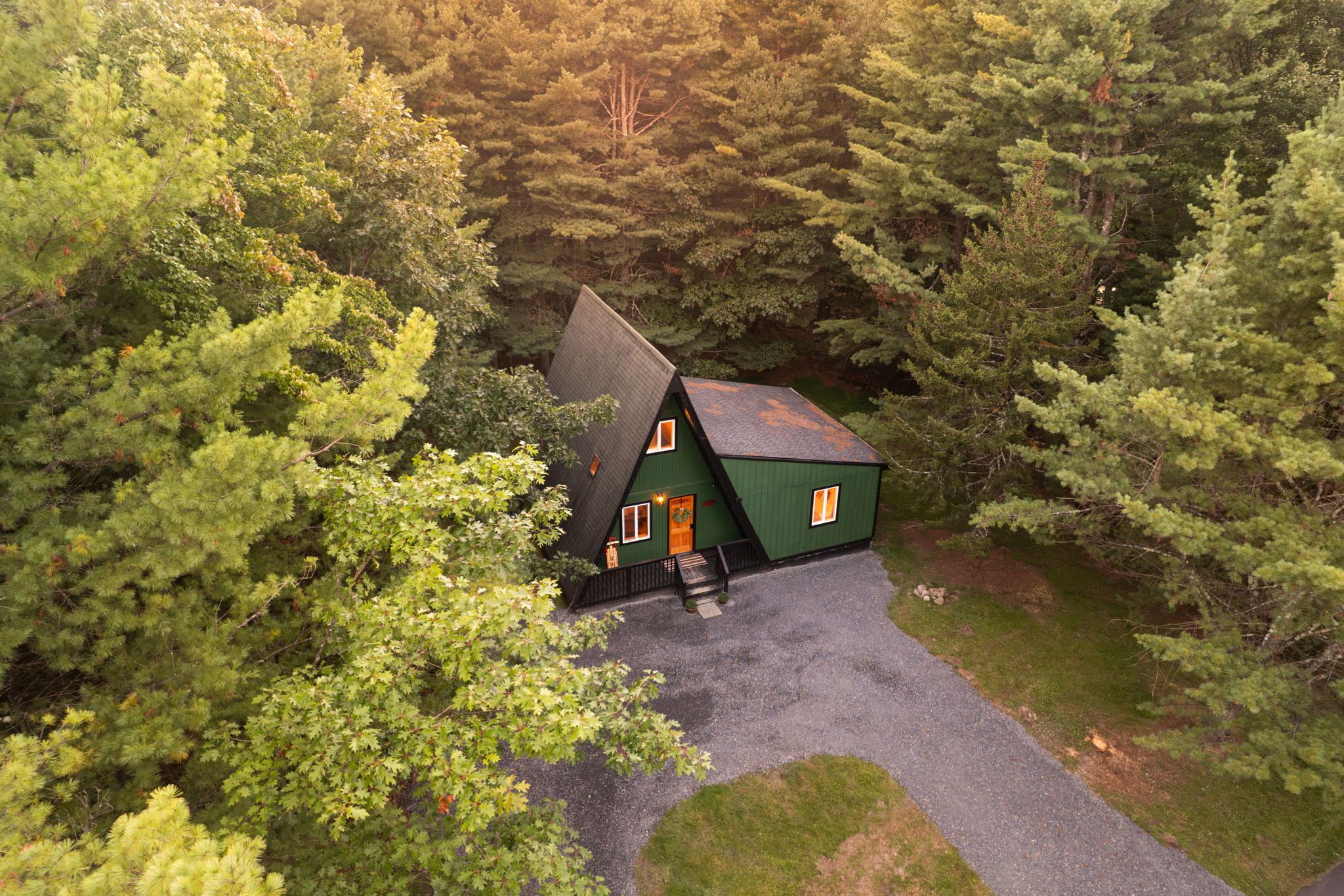 A cabin surrounded by dense forest.