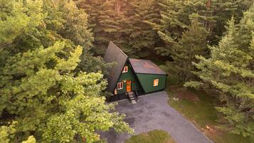 A cabin surrounded by dense forest.