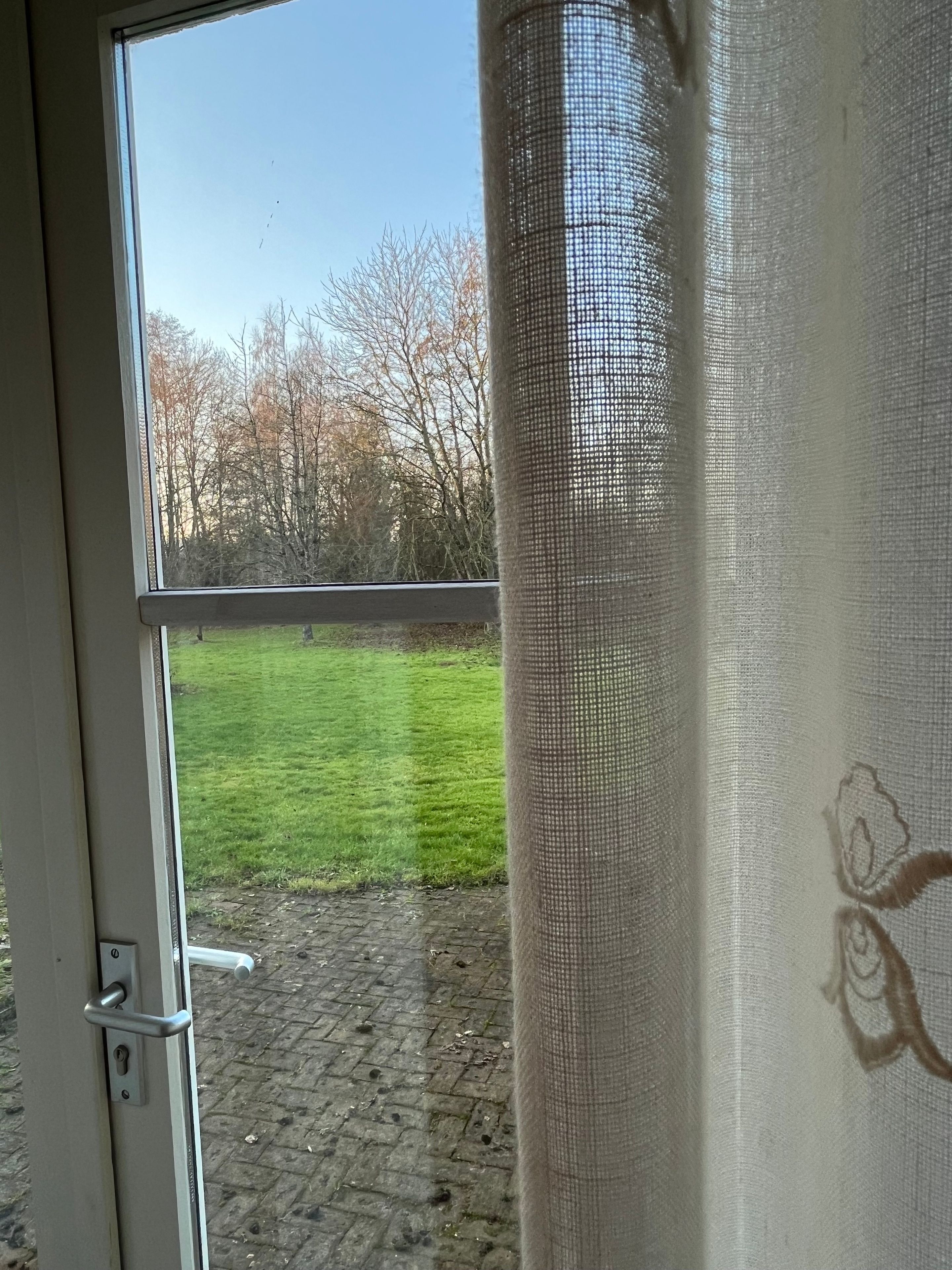 A view through a window with a metal grille, a grassy area, and leafless trees in the background.