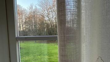A view through a window with a metal grille, a grassy area, and leafless trees in the background.