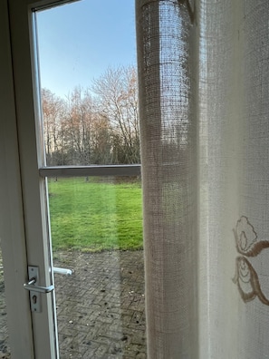 A view through a window with a metal grille, a grassy area, and leafless trees in the background.