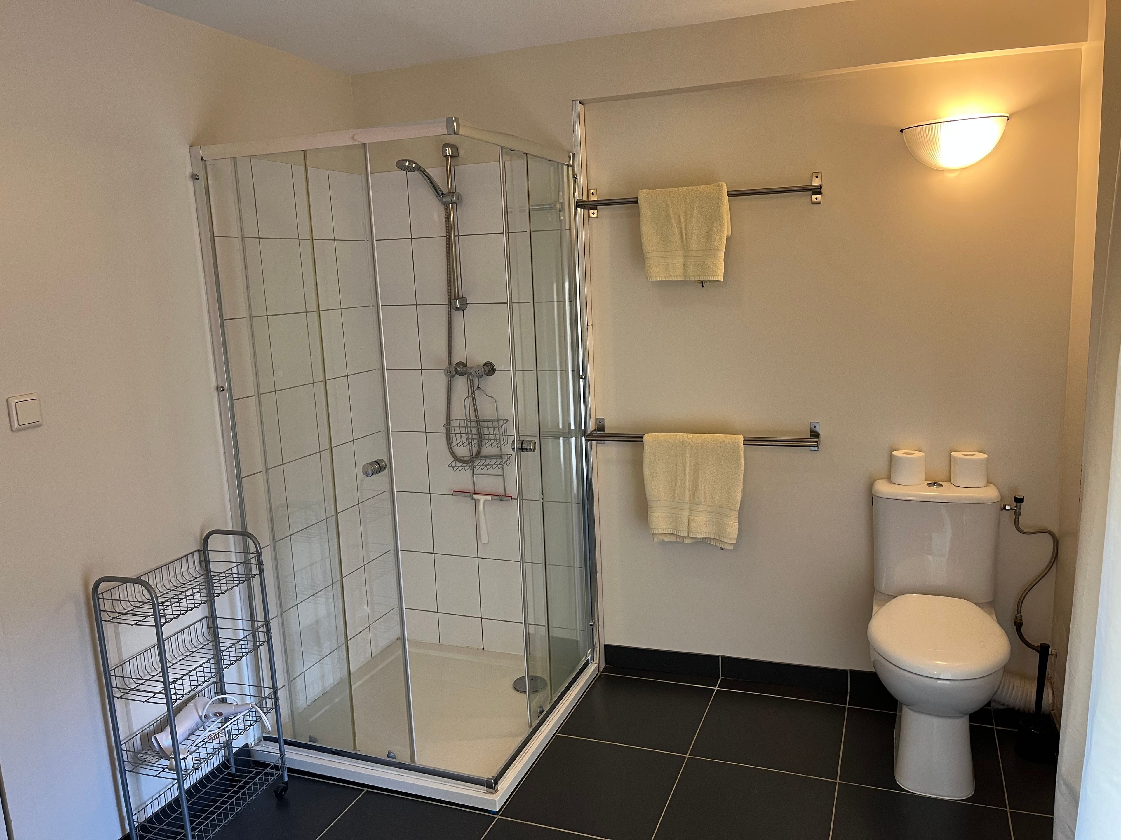 Une salle de bain avec une douche à parois de verre, des toilettes et un porte-serviettes.