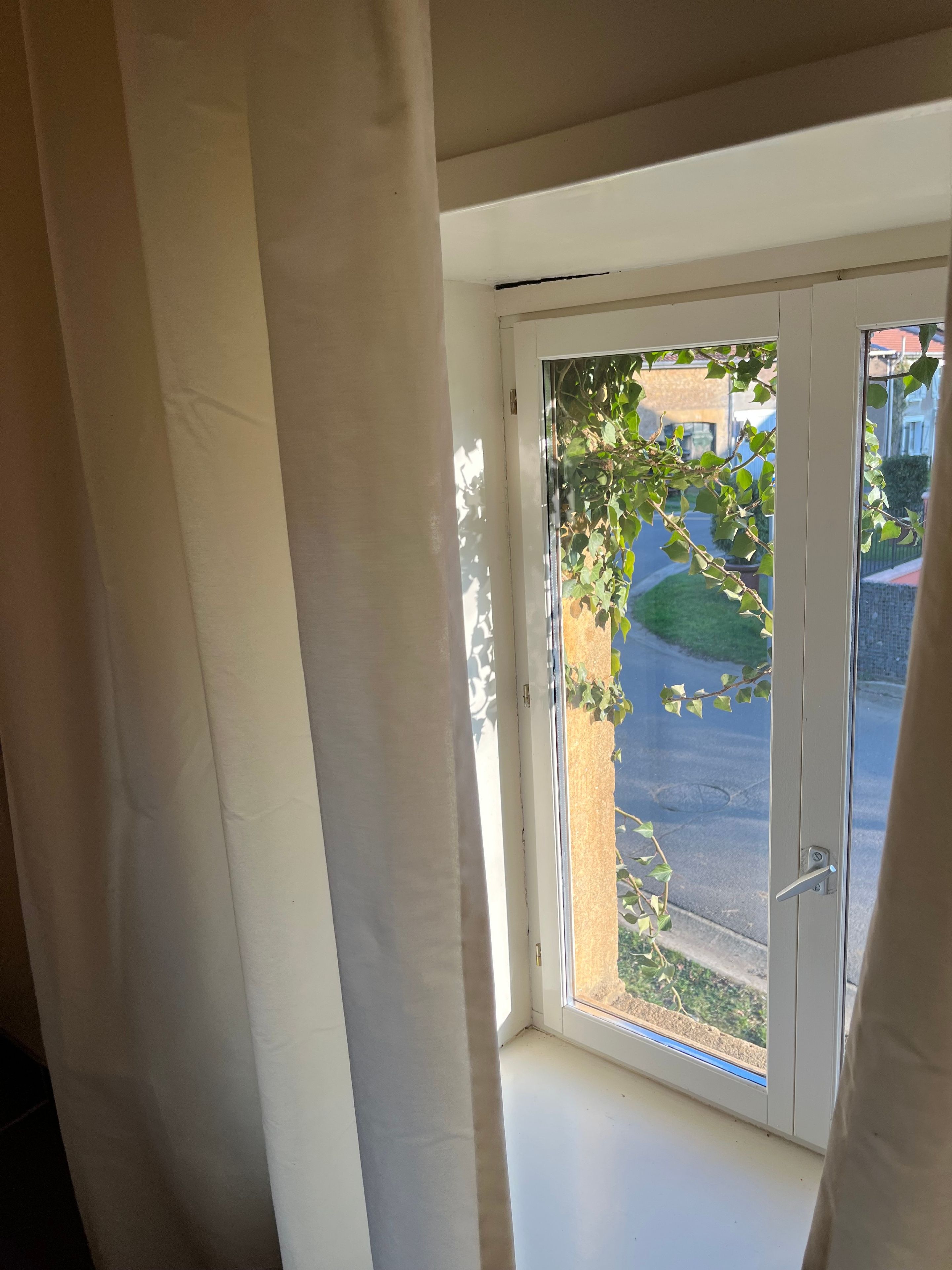 Une fenêtre donnant sur une rue et sur un espace verdoyant.