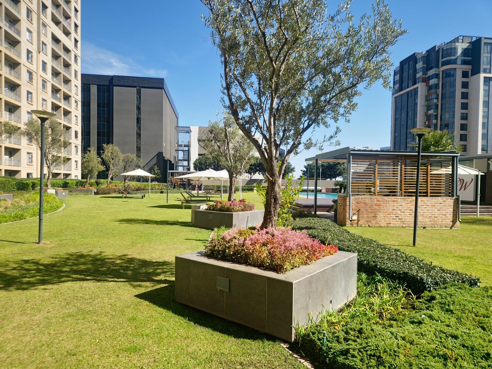 Un patio con un árbol, zonas de estar y una piscina.