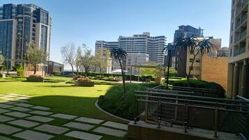 Un patio con un sendero pavimentado, vegetación y edificios modernos al fondo.