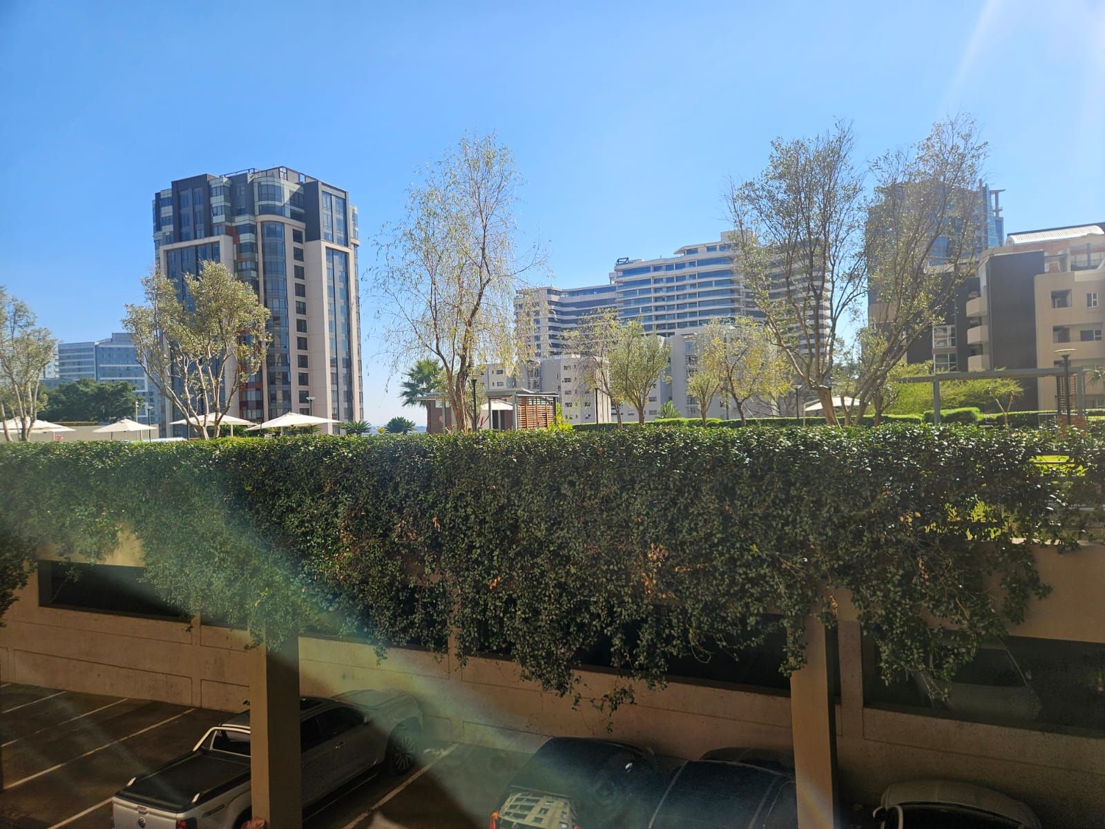 Un área de estacionamiento con coches, un seto y edificios modernos al fondo.