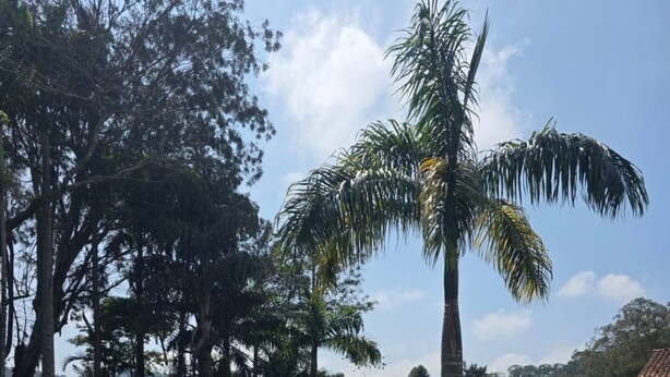 A swimming pool with clear blue water, surrounded by lush greenery and trees. - Casa do Golf (Teresópolis)