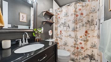 Shower, hair dryer, towels, shampoo