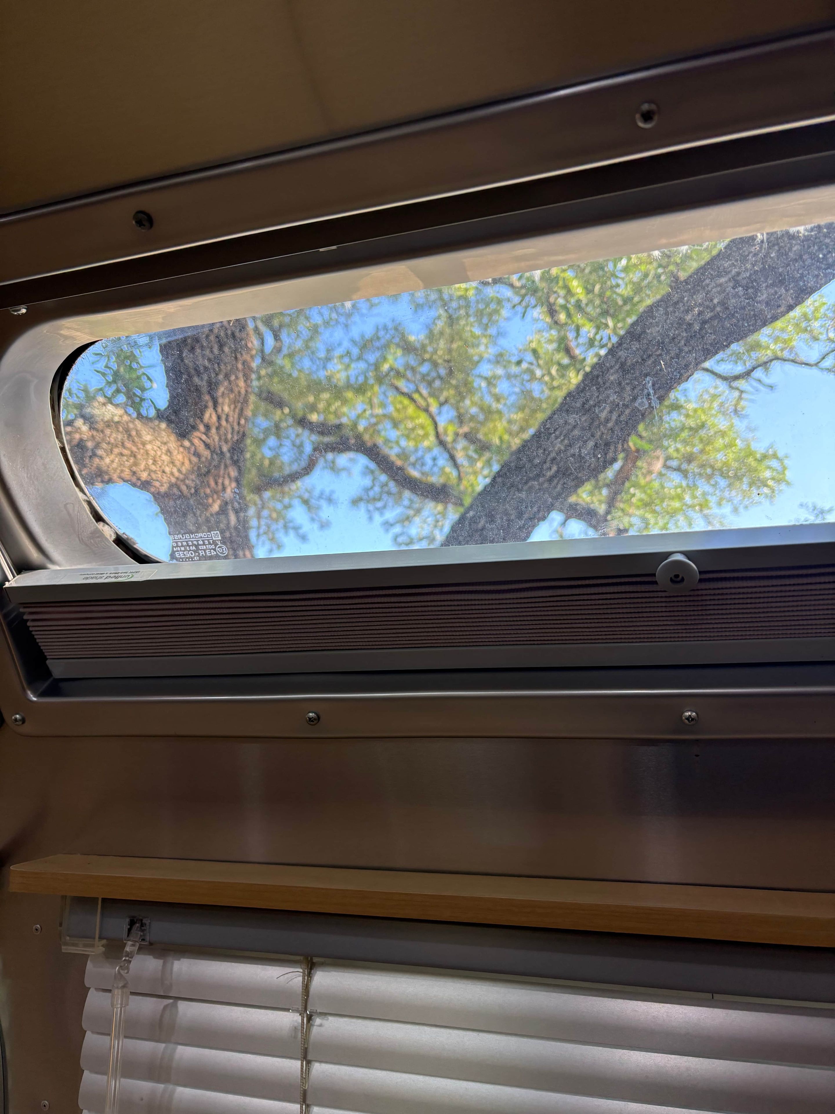 A window with a view of trees and a clear sky.