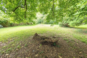A natural outdoor area with a grassy lawn, a fallen tree trunk, and dense foliage.