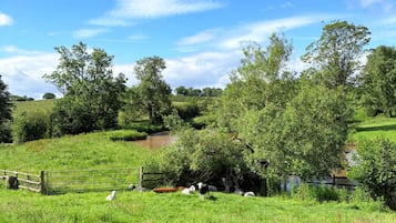 A grassy field with a wooden fence, trees, and a small body of water.