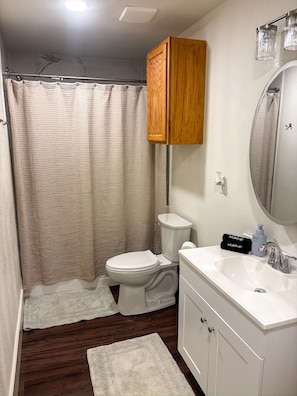 A bathroom with a toilet, a sink, a mirror, and a shower curtain. - Downtown Bryan Apt - Walk to Everything (Bryan)
