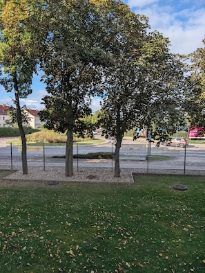 A grassy area with trees and a fence.