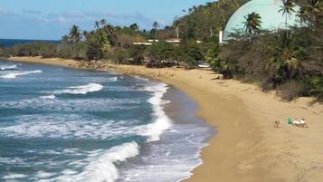 A beach with waves, a dome-shaped building, and palm trees.