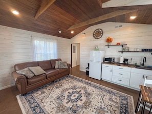 A cozy living room with a brown leather sofa, a patterned rug, and a kitchen area with white cabinets and a microwave.