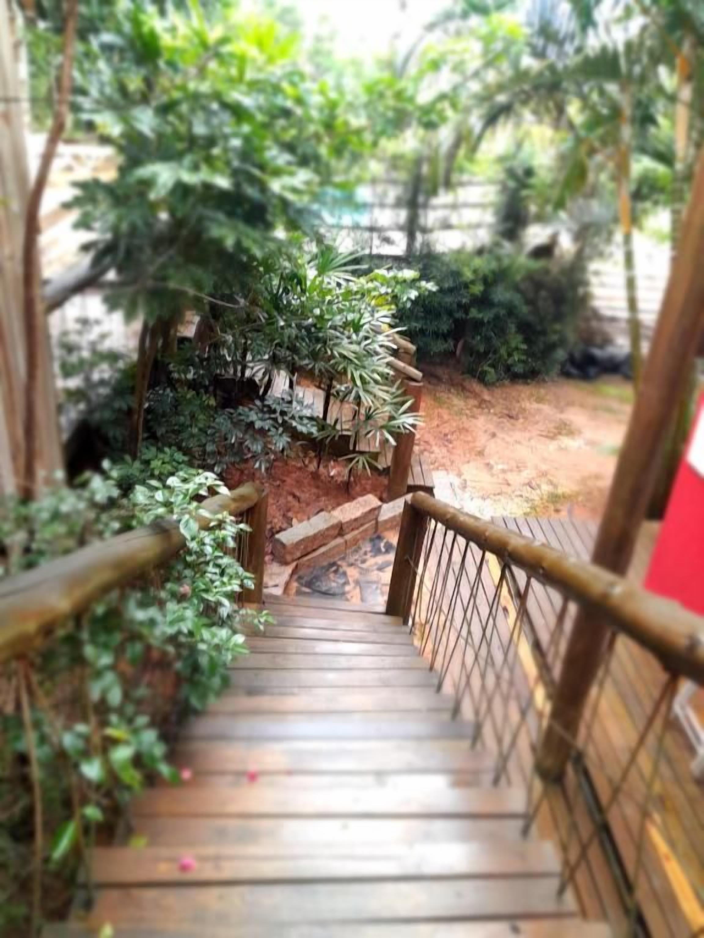 Una escalera de madera con barandilla metálica, rodeada de follaje y un muro de ladrillo.