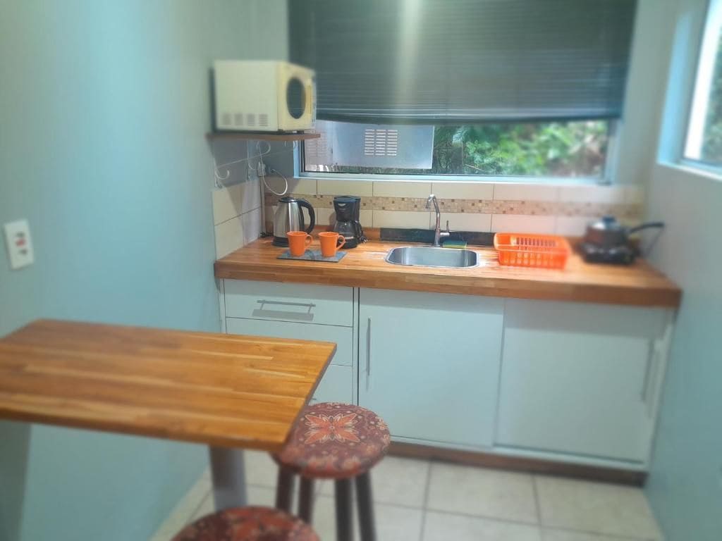 Cocina compacta con cubierta de madera, pileta de acero inoxidable y ventana con vista a zonas verdes.