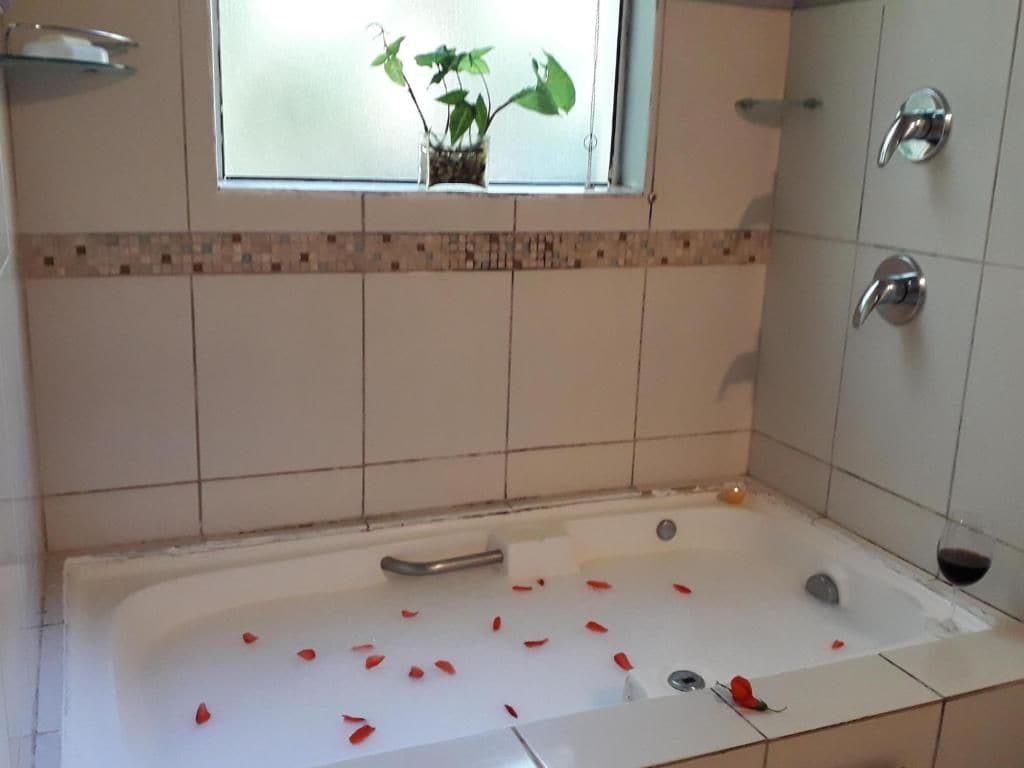 Un baño con bañera, una ventana con una planta y una zona de ducha.