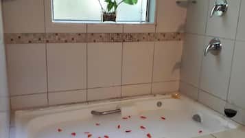 Un baño con bañera, una ventana con una planta y una zona de ducha.