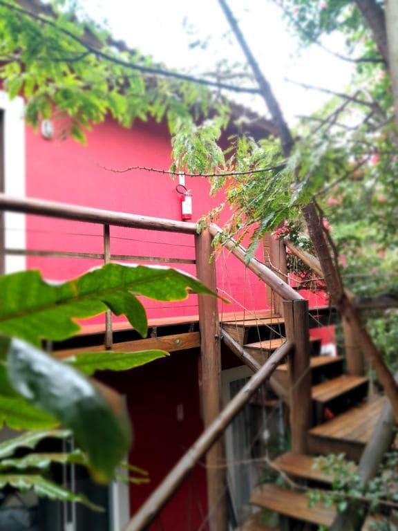 Una escalera de madera con barandilla de metal, rodeada de follaje y una pared roja.