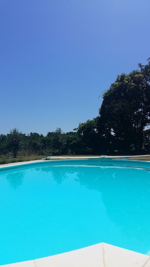 A clear blue swimming pool surrounded by greenery.