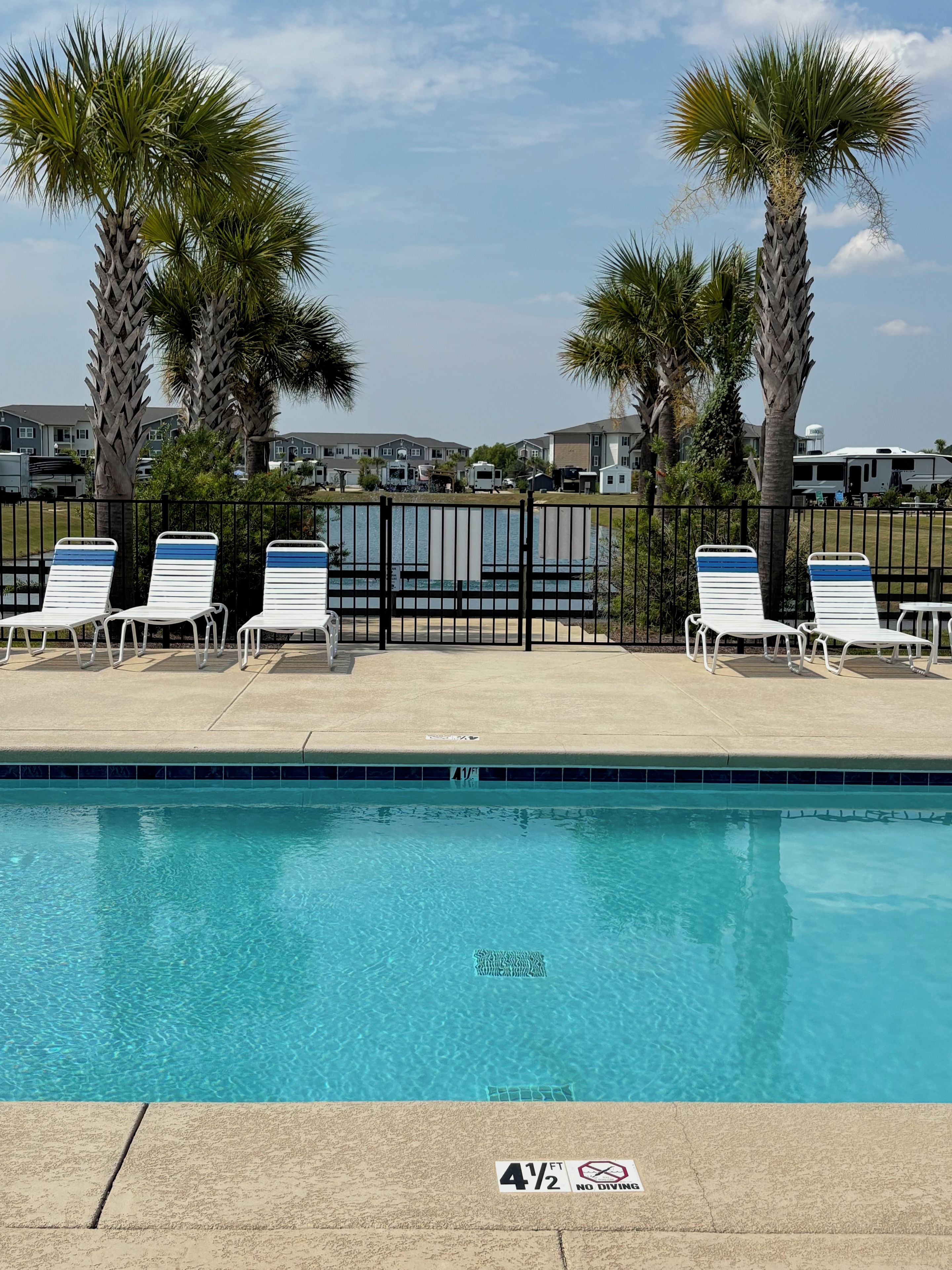 A swimming pool with lounge chairs and palm trees, surrounded by a fence.