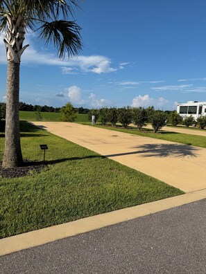 A residential area with a paved driveway, a palm tree, and a white RV parked on the side.