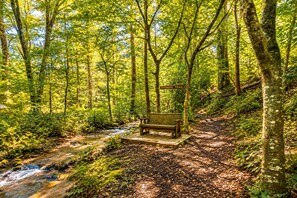A wooden bench in a forested area with a sign reading 'PARADISE TRAIL.'
