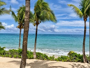 Beach - Beach Studio • Camp Bay, Roatan (Camp Bay)