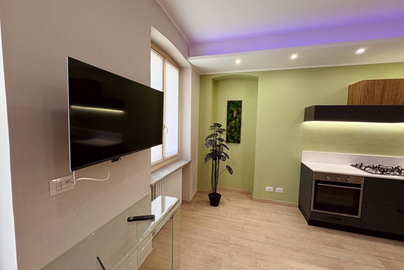 Una cucina moderna con una TV a schermo piatto, una pianta in vaso e un forno integrato.