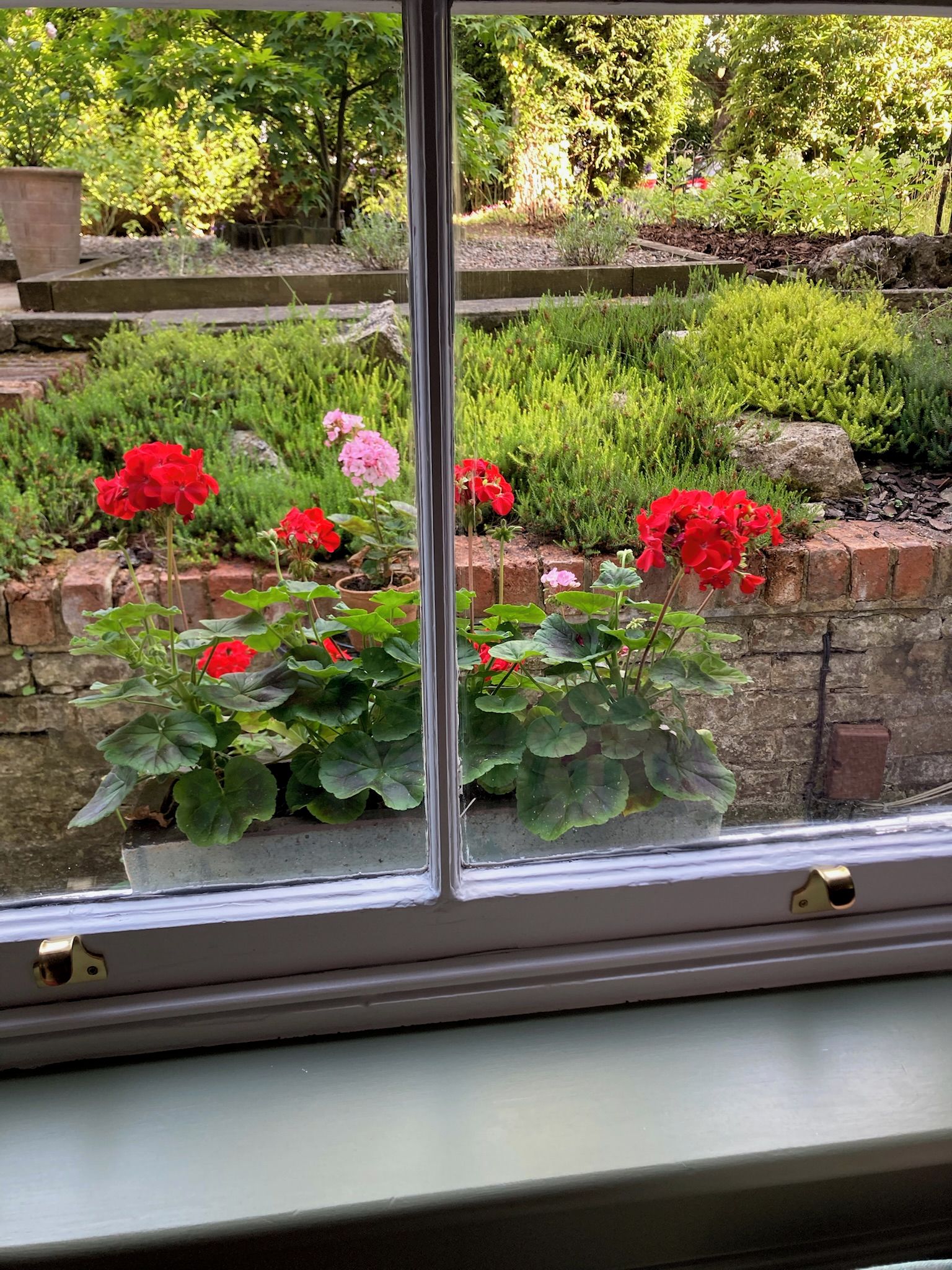 Een raam met uitzicht op een tuin met rode bloemen en groen loof.