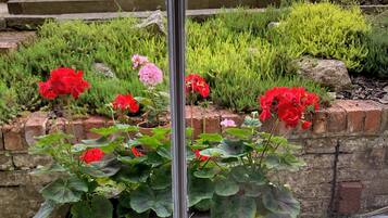 Een raam met uitzicht op een tuin met rode bloemen en groen loof.