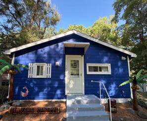 A small blue house with a white door, two windows, and a mailbox.