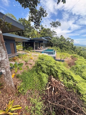 A modern house with a pool, surrounded by lush greenery and trees. - NEW OASIS! Excellent panoramic views, private pool brand new. (Savegre)
