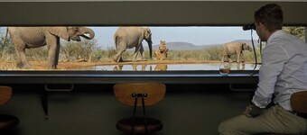 Luxury Safari Lodge with Private Pools, Spa & Breathtaking Bush Views