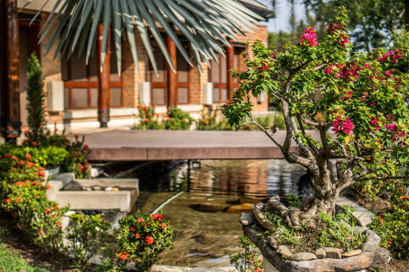 A traditional Japanese garden with a koi pond, a bridge, and a bonsai tree.