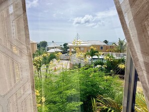 Vista per una finestra que mostra una zona residencial, amb cases i vegetació.