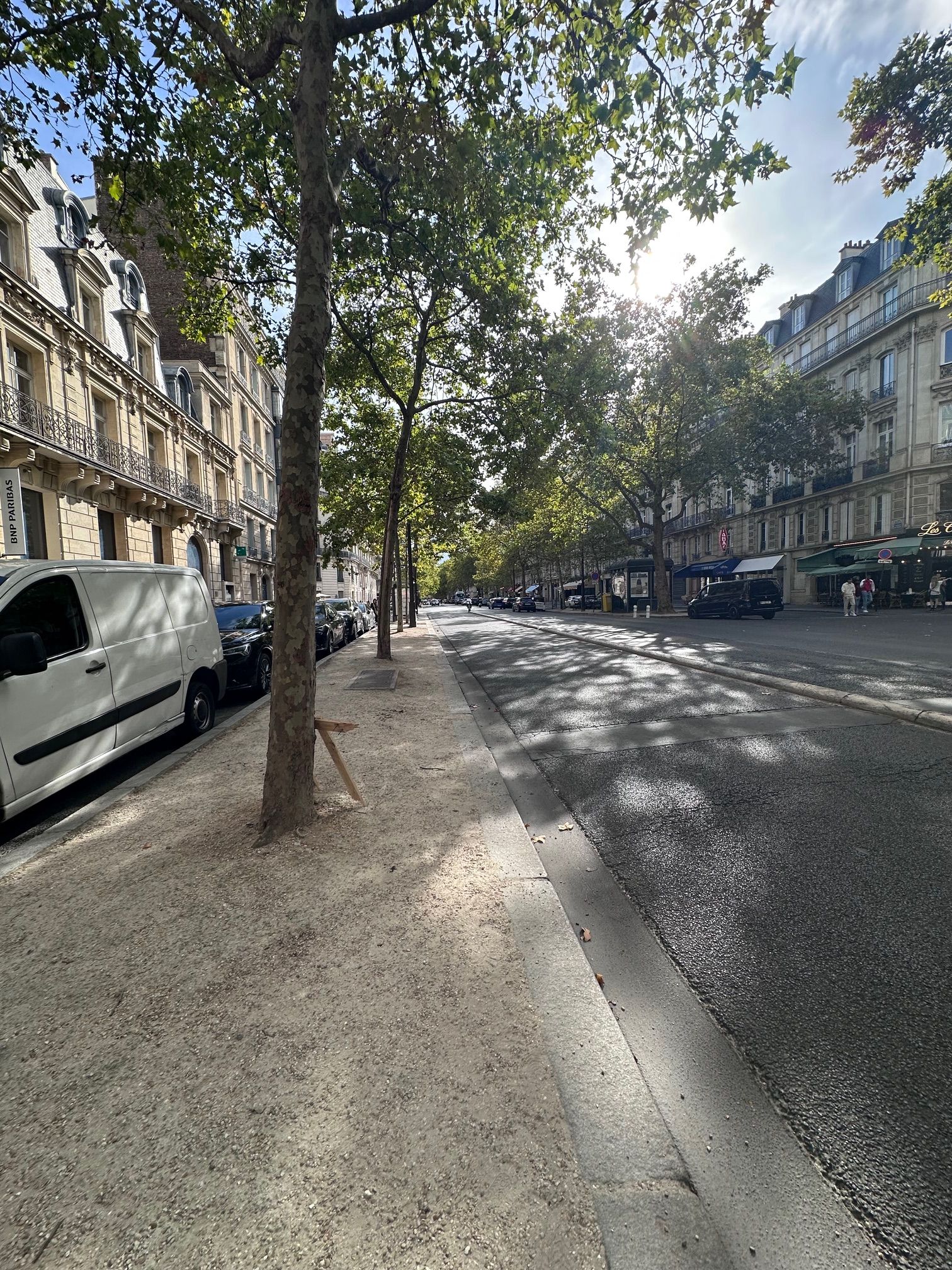 Een straat met bomen, geparkeerde auto's en gebouwen aan weerszijden.