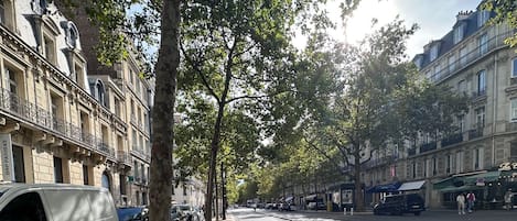 A tree-lined street with parked cars and buildings on either side.