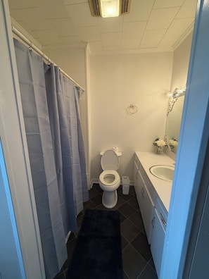 Une salle de bain équipée de toilettes, d’un lavabo et d’un rideau de douche.