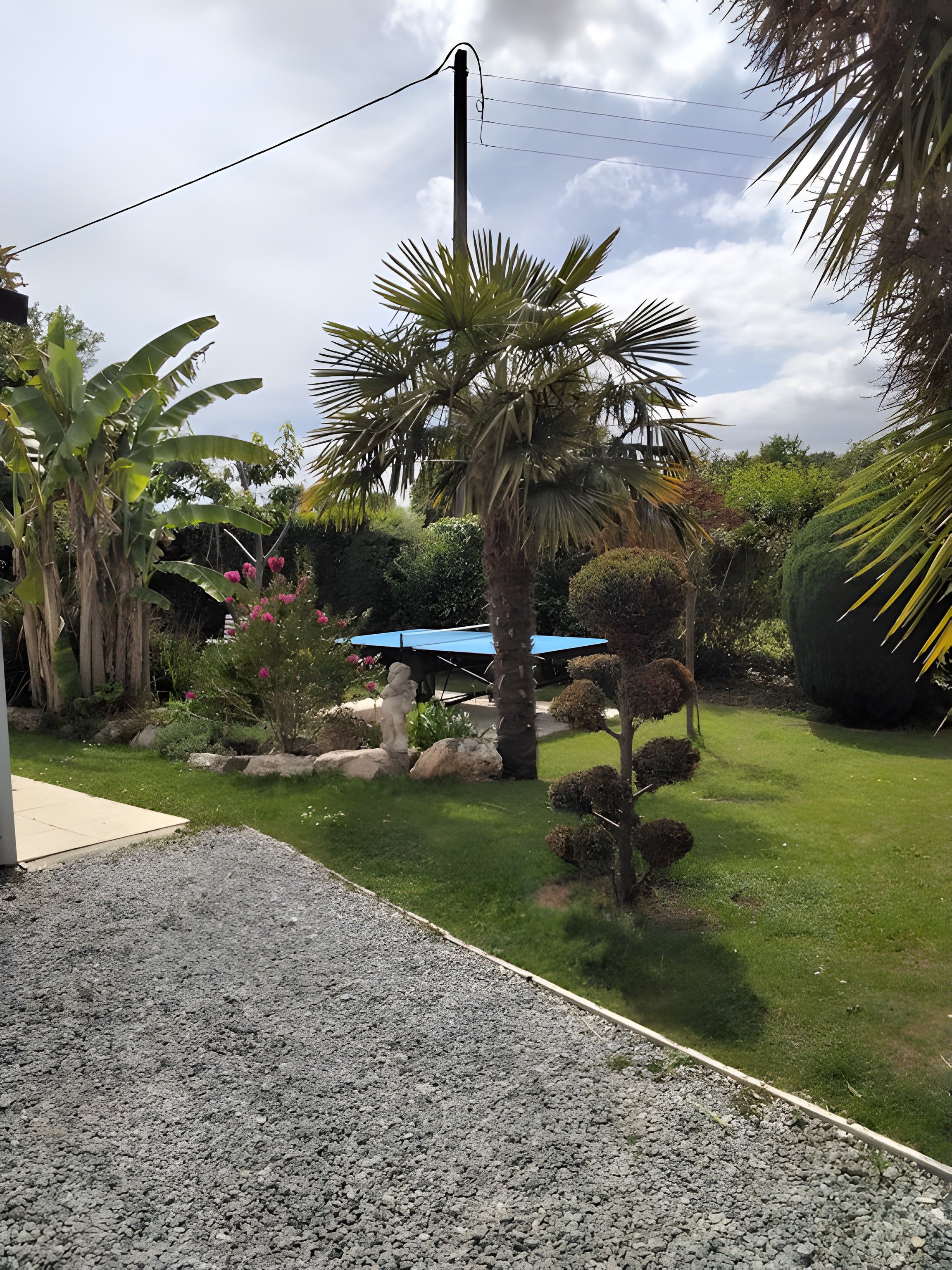 Ein Garten mit einer Palme, einer Statue und einer blauen Struktur.
