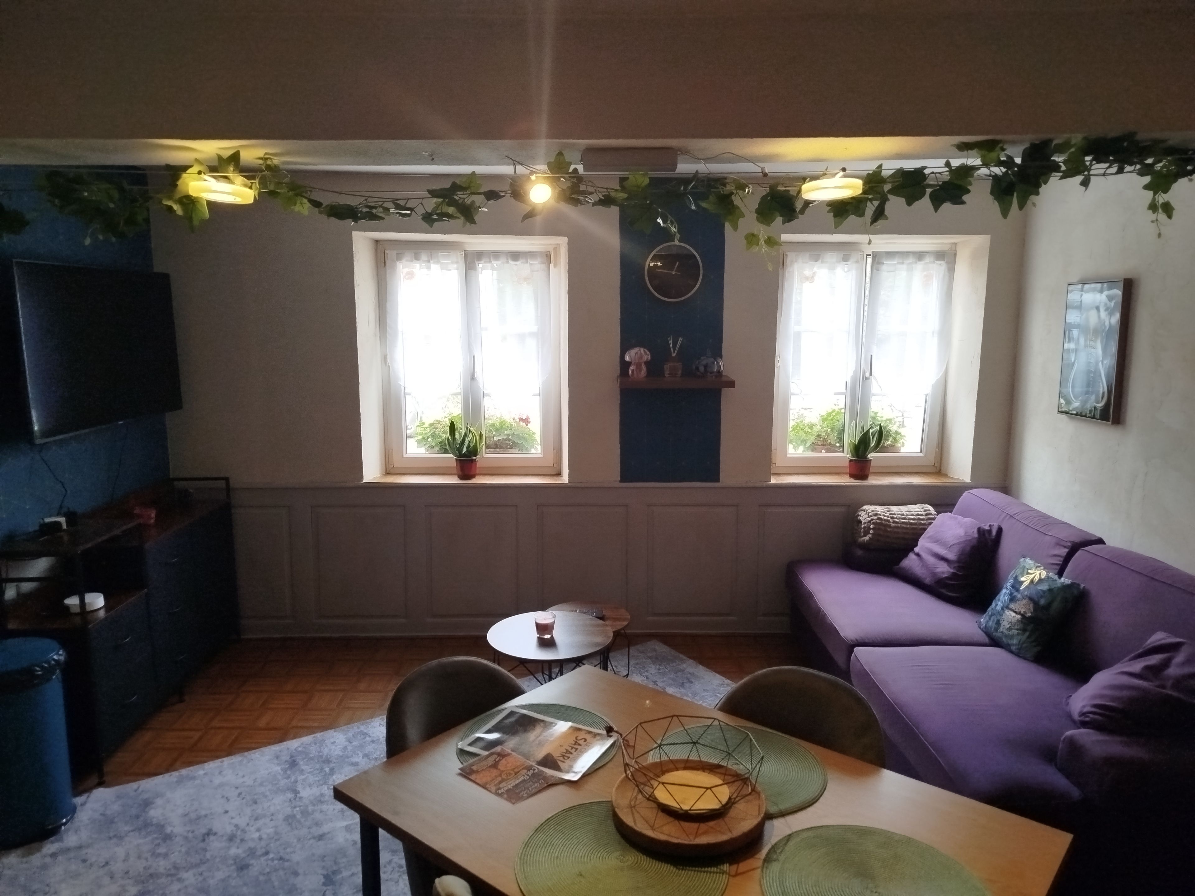 Un salon avec un canapé violet, une table à manger avec des sets de table et deux fenêtres ornées de plantes.