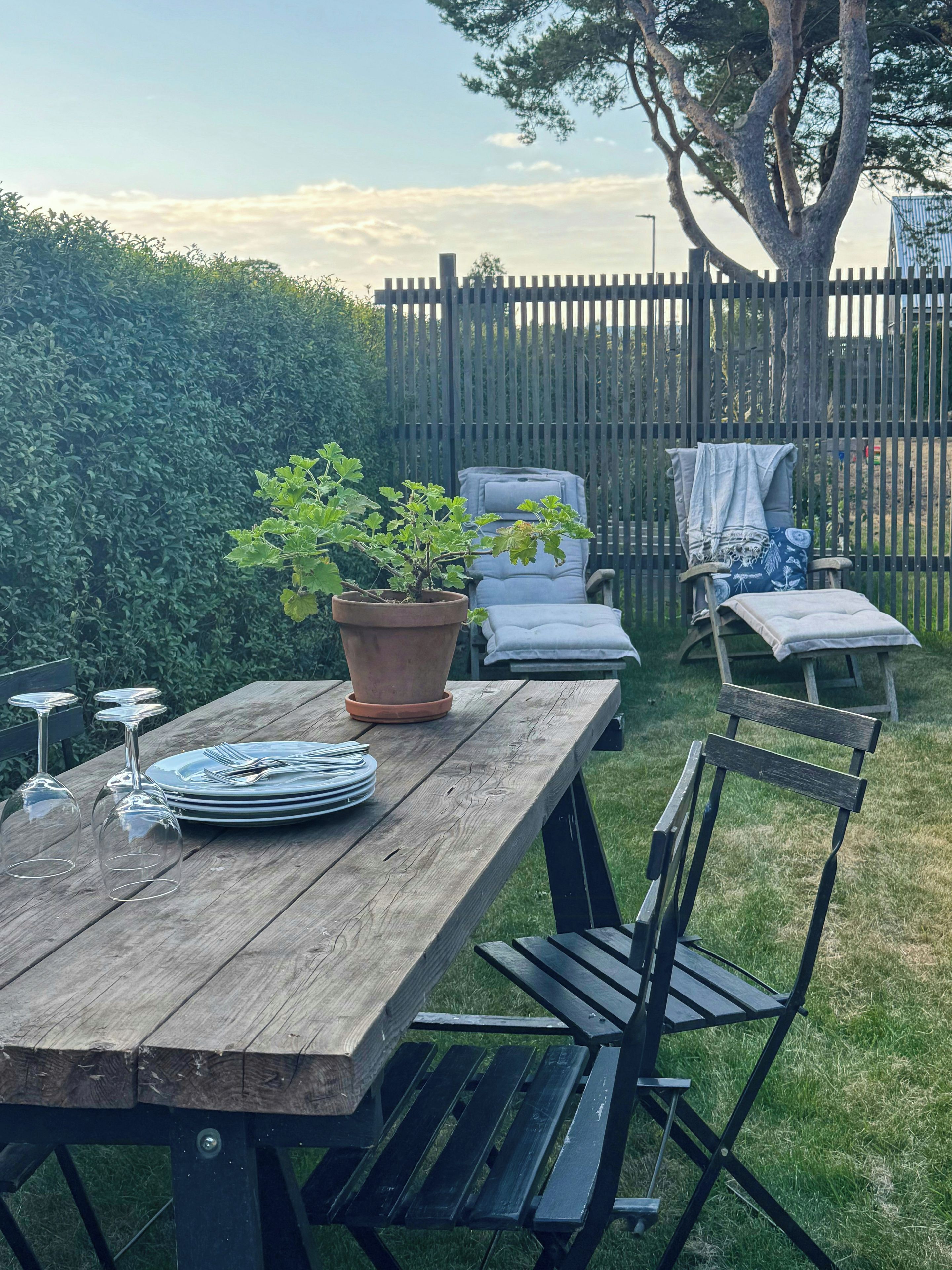 Una mesa de picnic de madera con una planta en maceta, una silla plegable y un banco.