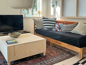 A modern living room with a sofa, a television, a bowl on a coffee table, and a patterned rug.